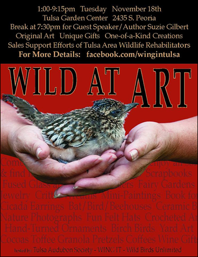 Welcome to the World of Wild Bird Rehab