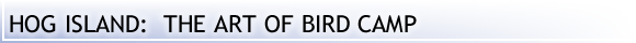 Hog Island:  The Art of Bird Camp